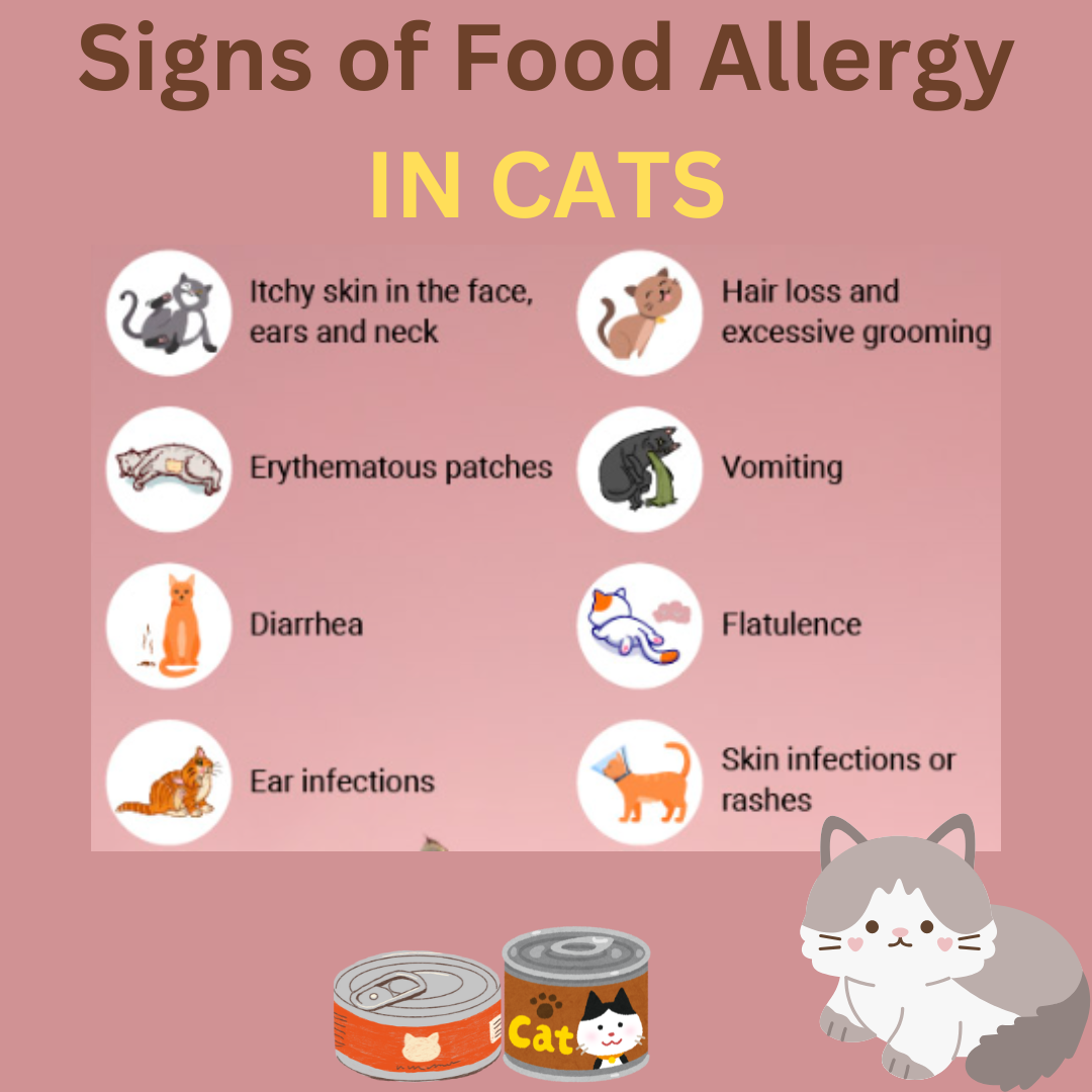 Allergies in Dogs & Cats